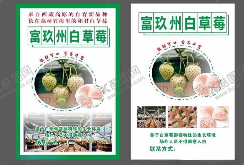 编号：61914302070427546864【酷图网】源文件下载-草莓采摘海报