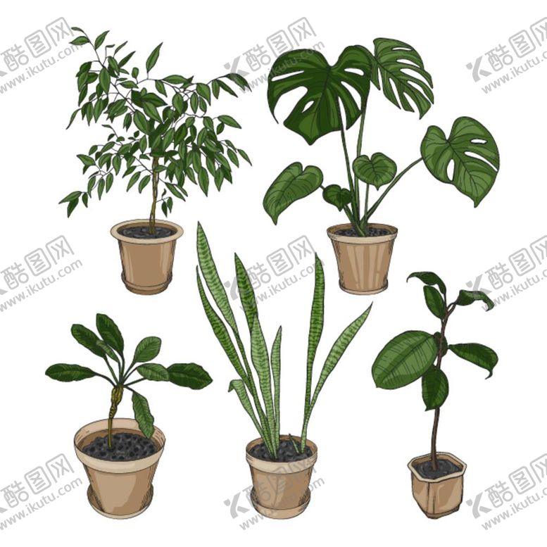 编号：74575012011533098361【酷图网】源文件下载-绿色植物 