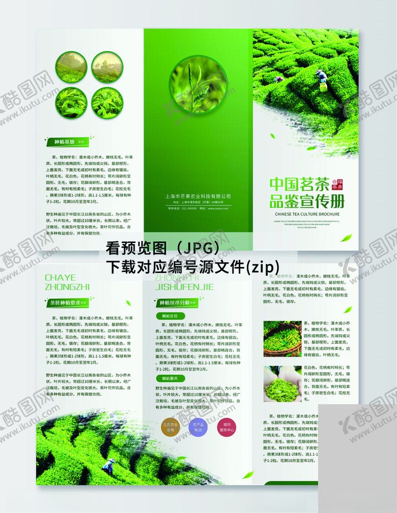 编号：90660904170742039995【酷图网】源文件下载-茶叶三折页