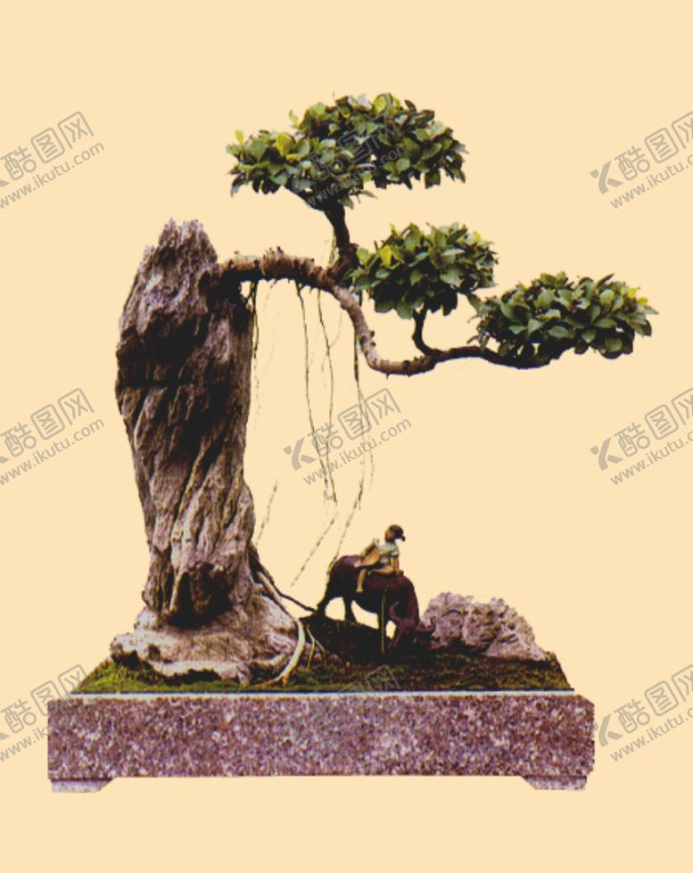 编号：65599707141729284756【酷图网】源文件下载-盆景
