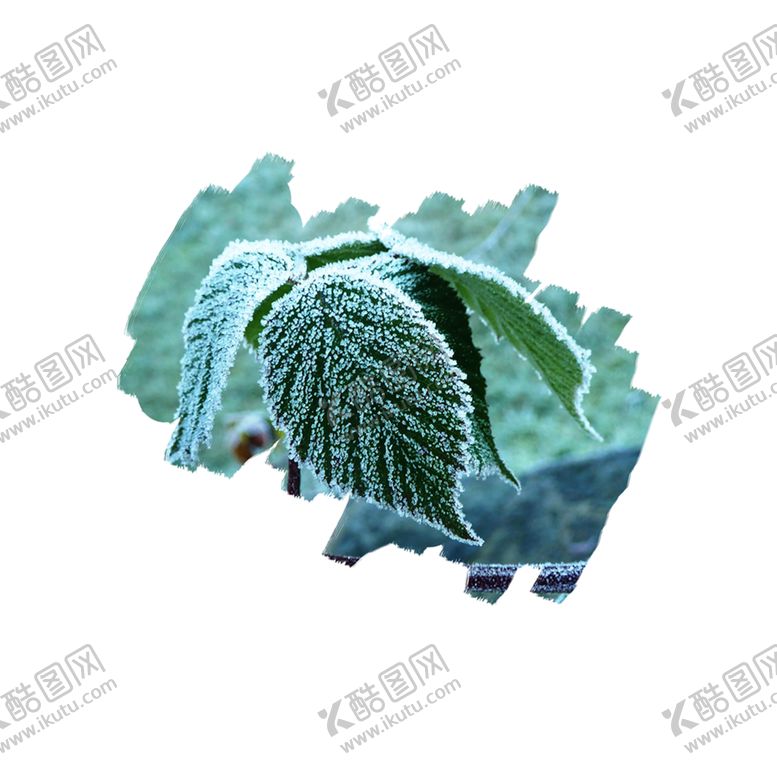 编号：76354706302217384766【酷图网】源文件下载-花边