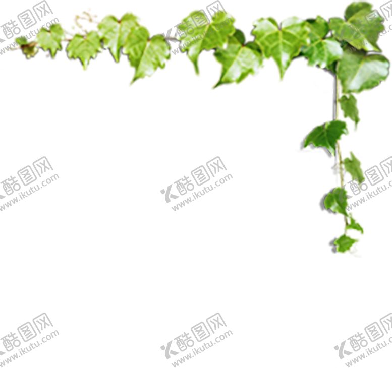 编号：92087707011805228256【酷图网】源文件下载-花边背景