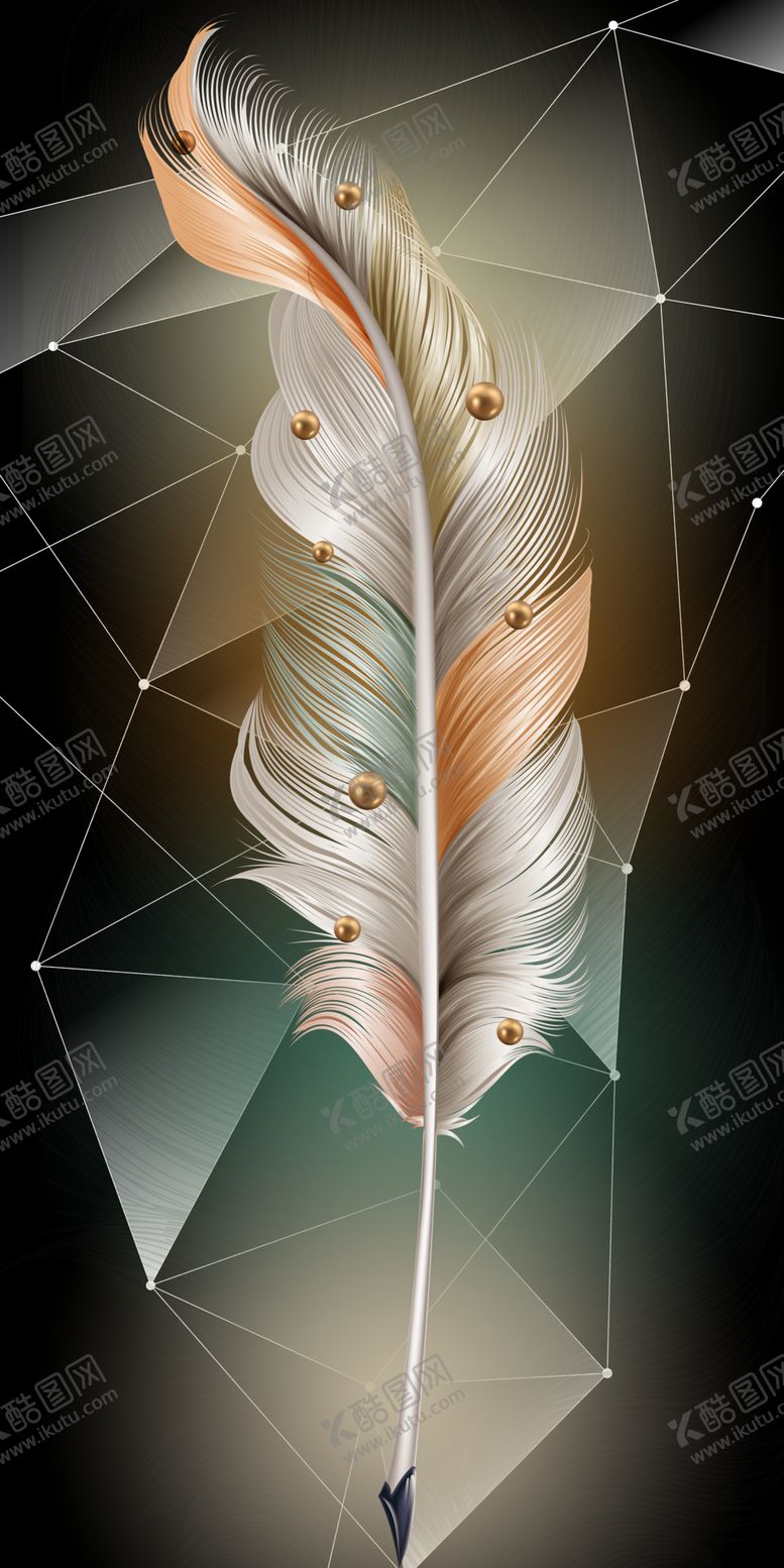 编号：39443409291943478891【酷图网】源文件下载-羽毛玄关