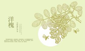 槐花标签