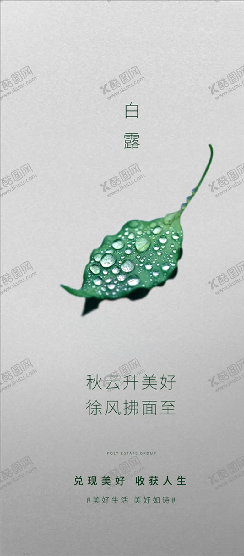 编号：48972003241513295035【酷图网】源文件下载-白露