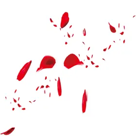 手绘植物花卉