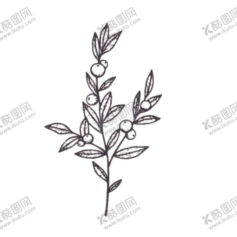 编号：88052610060038254010【酷图网】源文件下载-简笔绘画植物花朵图谱