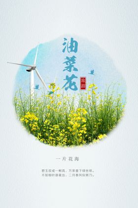 油菜花艺术字