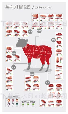 羊羔肉分解图切割图