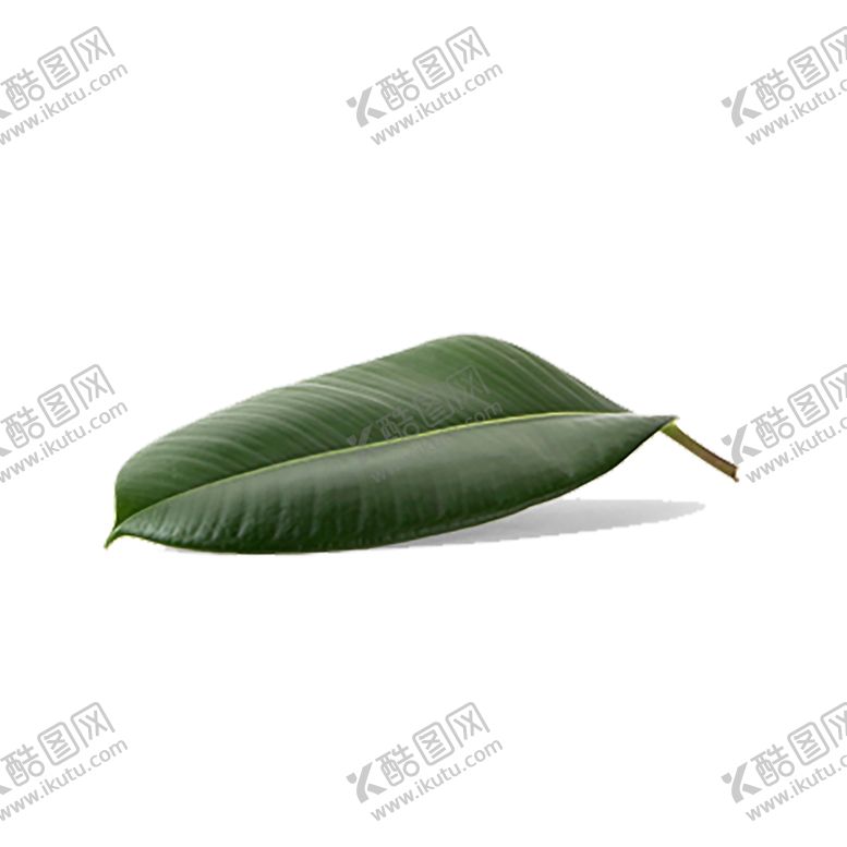 编号：11468710071449237631【酷图网】源文件下载-绿色相框