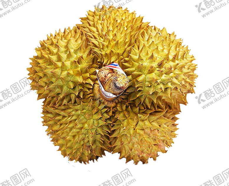 编号：88954109242122158522【酷图网】源文件下载-榴莲