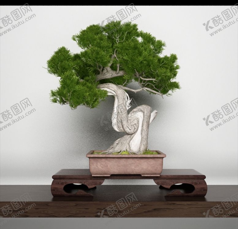 编号：22874710041841128990【酷图网】源文件下载-盆栽盆景