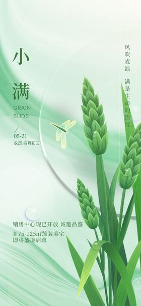 绿色中国风小满24节气海报传统节气水稻