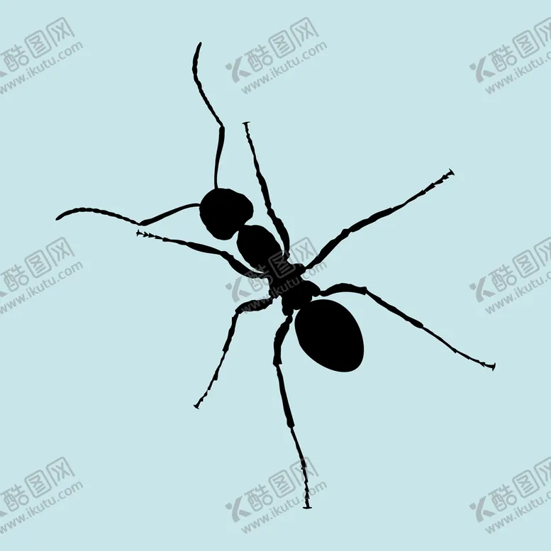 编号：78905210231723252055【酷图网】源文件下载-蚂蚁