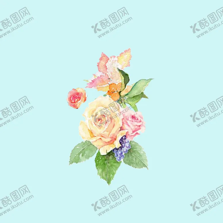 编号：80305310172130049241【酷图网】源文件下载-手绘水彩月季 