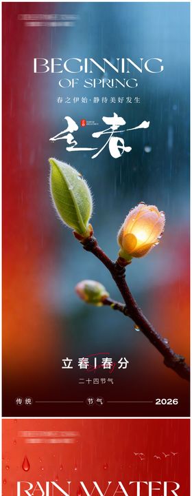 立春春分雨水谷雨节气海报
