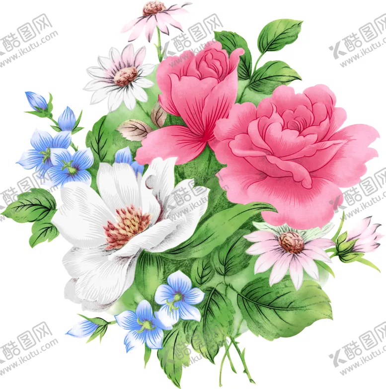 编号：24458704210543133284【酷图网】源文件下载-贵妃花