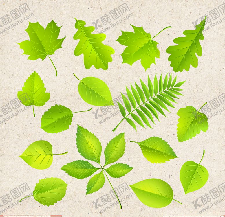 编号：13696910302107239291【酷图网】源文件下载-矢量动物矢量植物插画手绘