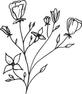 手绘花卉元素