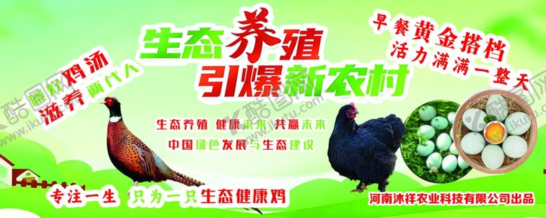 编号：95006104081704066588【酷图网】源文件下载-生态养鸭助力新农村建设