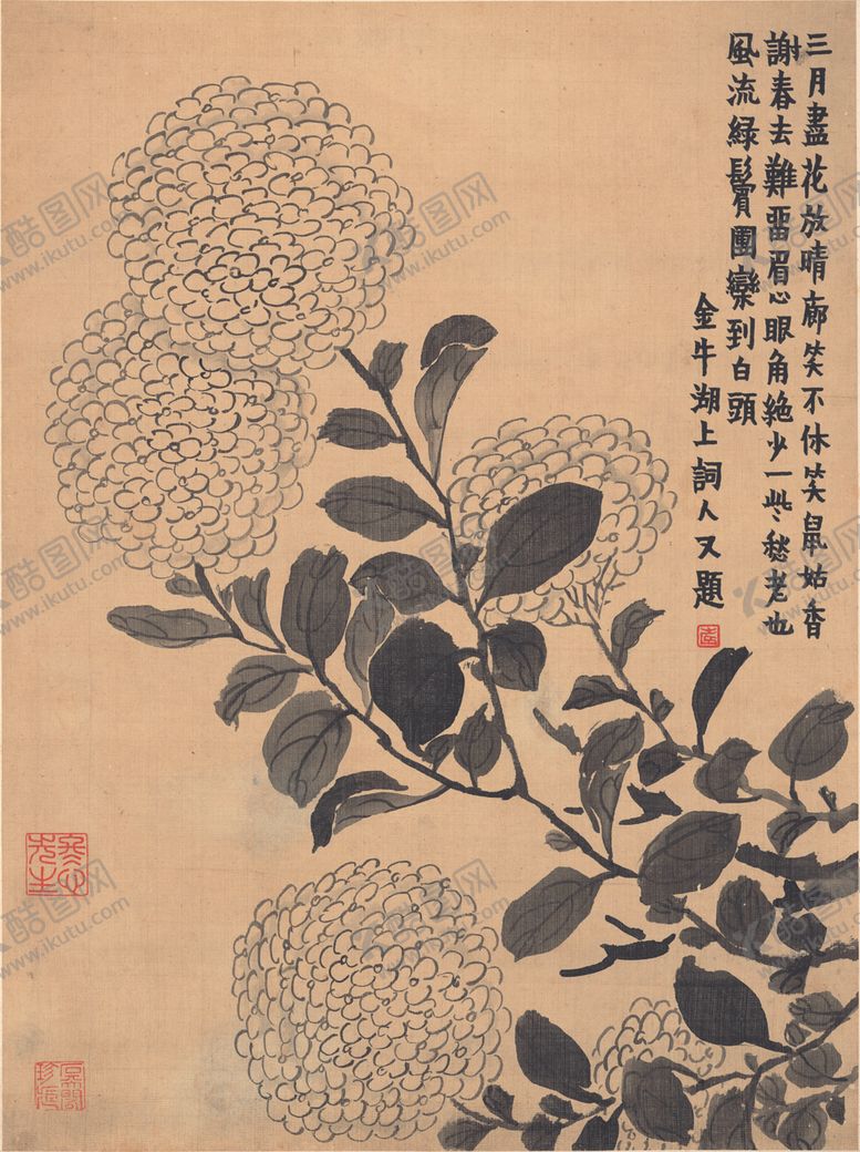 编号：65913806290256234431【酷图网】源文件下载-植物花草国画图案