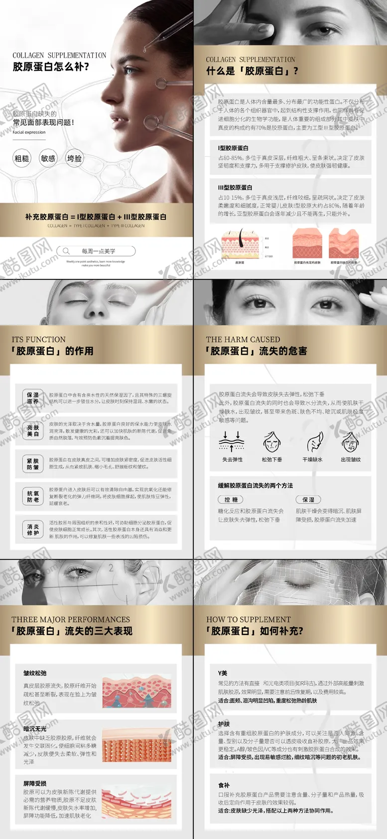 编号：76614101121413287083【酷图网】源文件下载-胶原蛋白知识科普系列海报