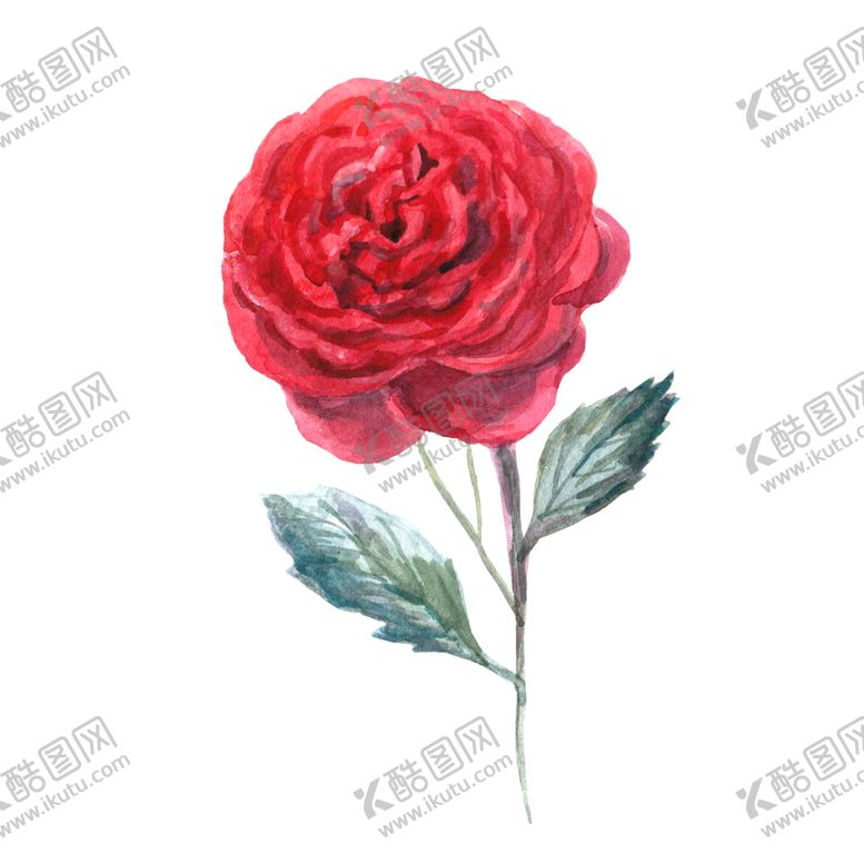 编号：60552010282323488541【酷图网】源文件下载-手绘花瓣