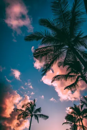 海边云摄影晚霞