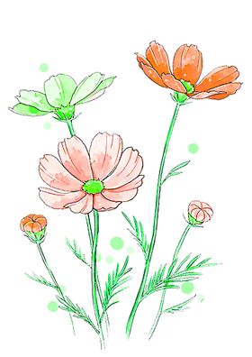 花素材鲜朵小清新朵朵底纹