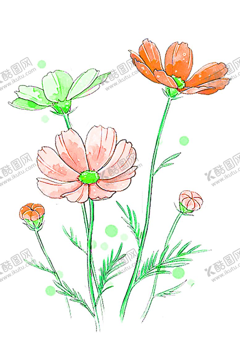 编号：27768906280721545756【酷图网】源文件下载-花素材