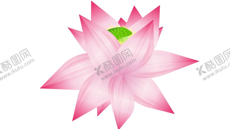 编号：36114810030230315157【酷图网】源文件下载-荷花