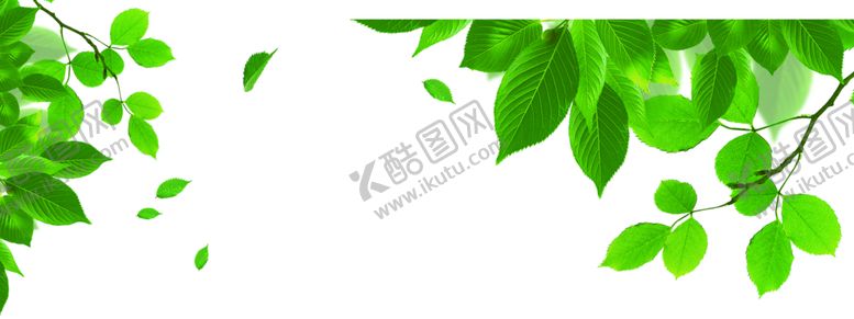 编号：77846910170251399675【酷图网】源文件下载-绿色边框