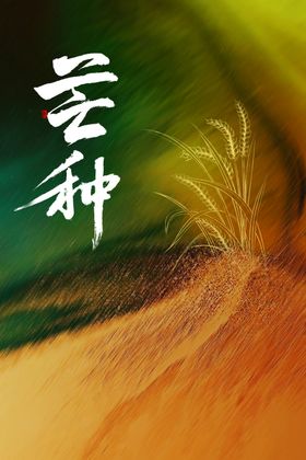 芒种海报二十四节气素材农作物粮食