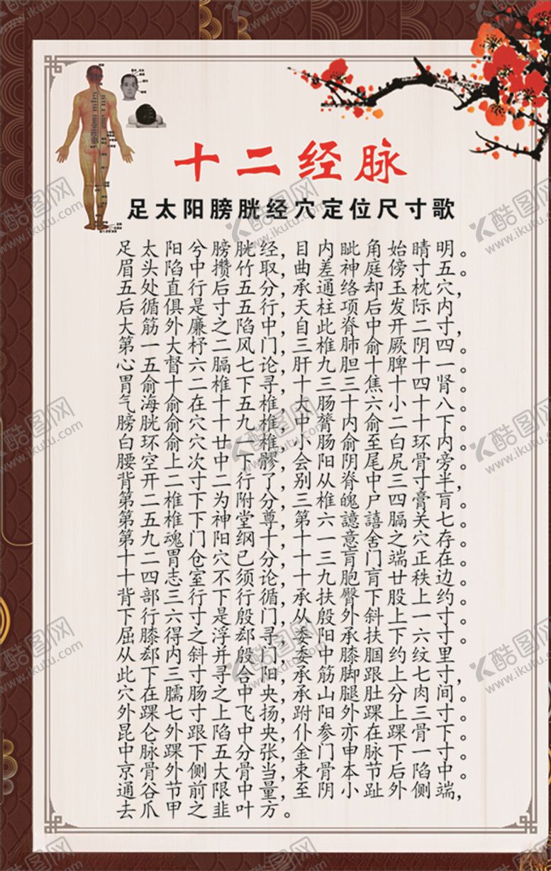 编号：69913709112234288753【酷图网】源文件下载-足太阳膀胱经穴定位尺寸歌