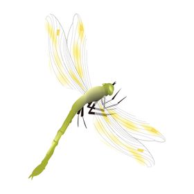 蜻蜓背景墙装饰画工笔画矢量