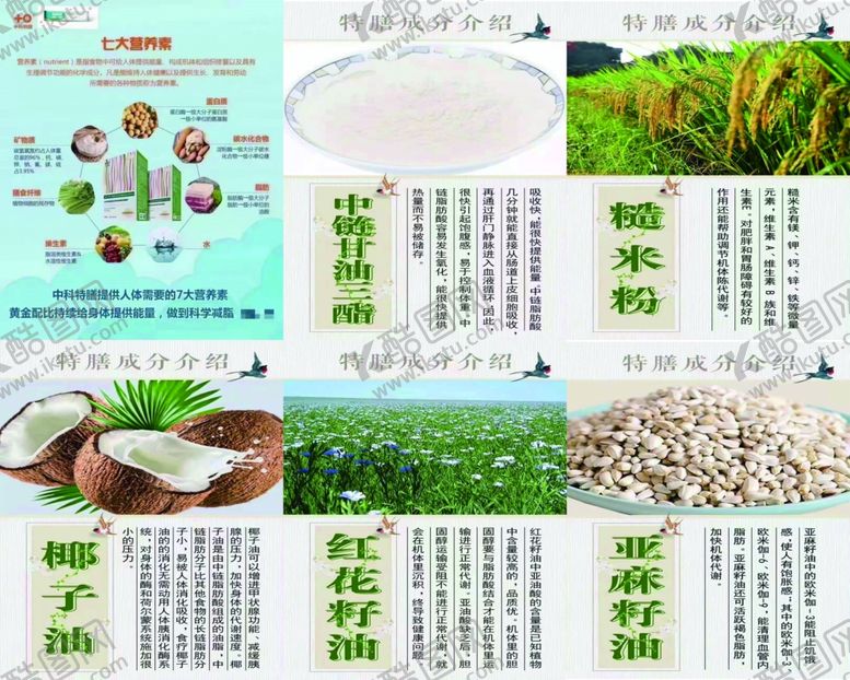 编号：72265711230933127566【酷图网】源文件下载-中科特善
