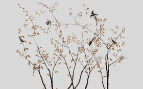花鸟画小鸟背景墙