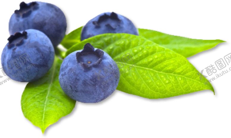 编号：53818209131823387116【酷图网】源文件下载-蓝莓png素材