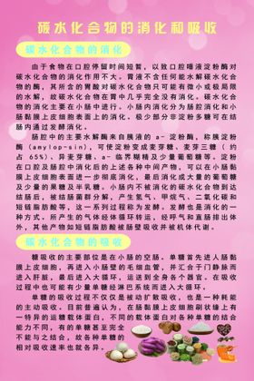 编号：12638410010416019075【酷图网】源文件下载-碳水化合物的消化和吸收