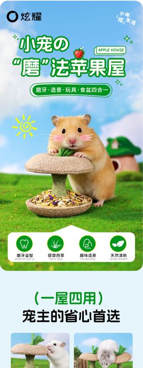 宠物零食磨牙棒详情页设计