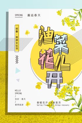 油菜花