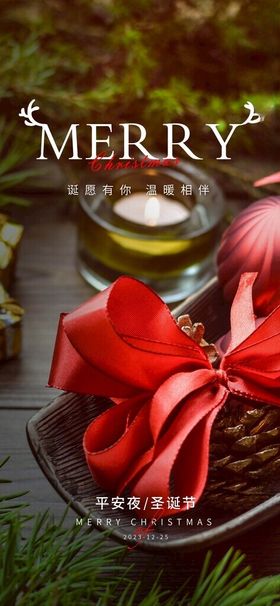 圣诞节海报2025吊牌主题