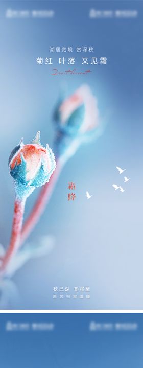 霜降节气系列海报简约房地产二十四风景
