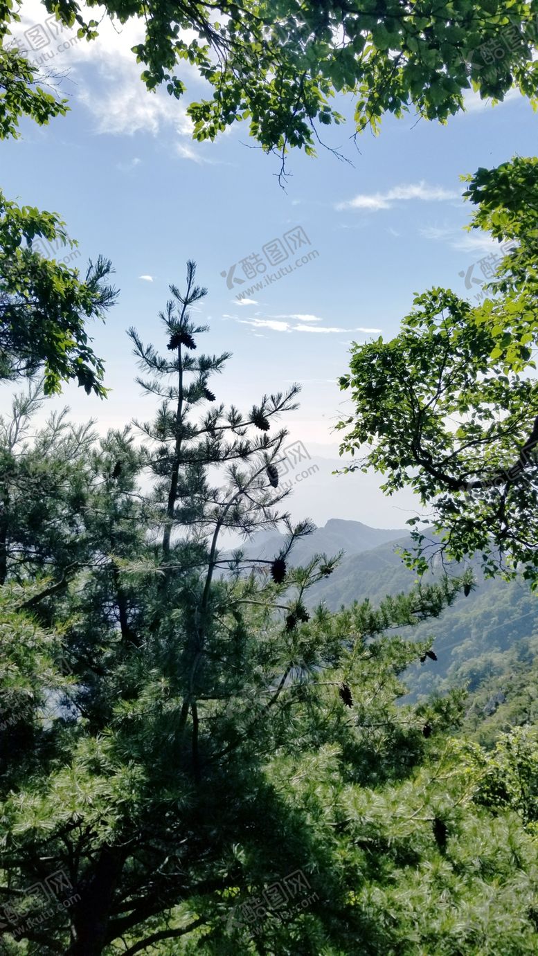 编号：89301312101546175178【酷图网】源文件下载-春天爬山绿树松树蓝天