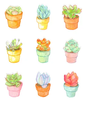 png格式植物花卉手绘素材朵型插画