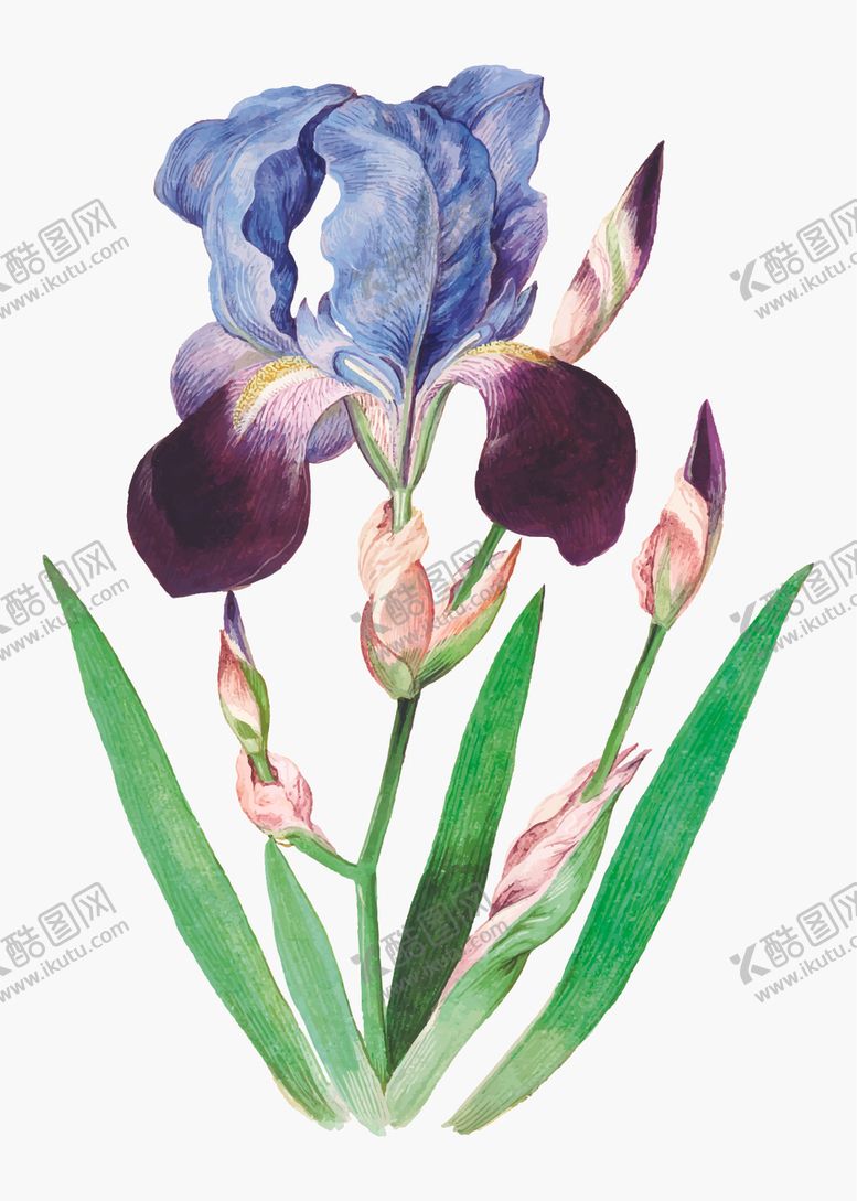 编号：93215510010618297171【酷图网】源文件下载-范思哲动画马车马头链子