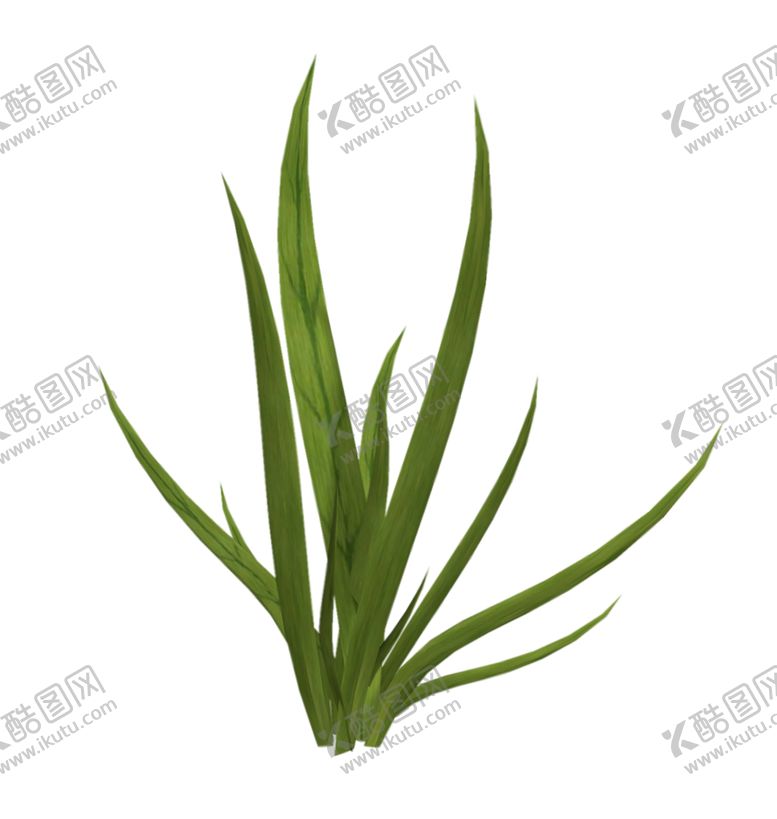 编号：81873907080347522387【酷图网】源文件下载-绿色相框