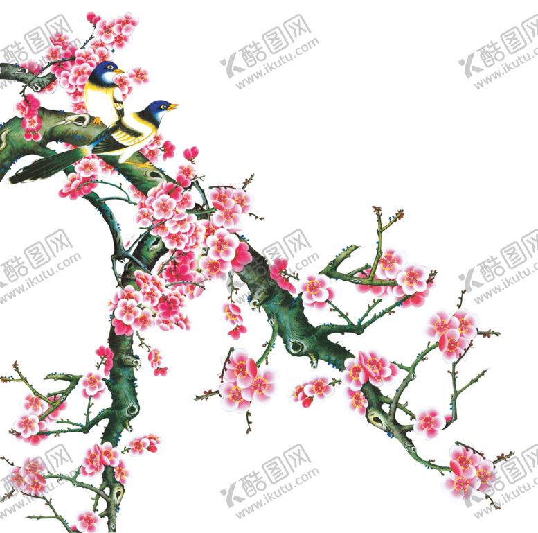 编号：11772710081949398163【酷图网】源文件下载-梅花