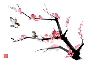 梅花国画