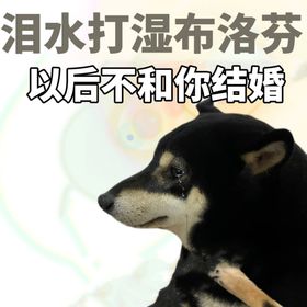 小柴狗表情包